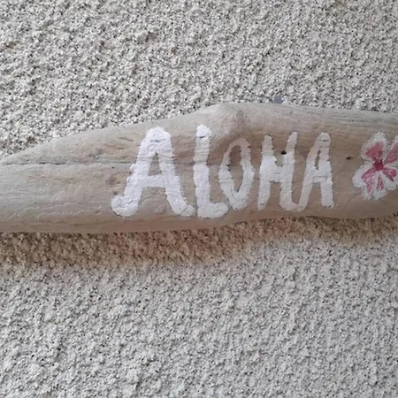 Nyaraló Aloha-65m2 Garden/swimmingpool - 500m Moriani Plage